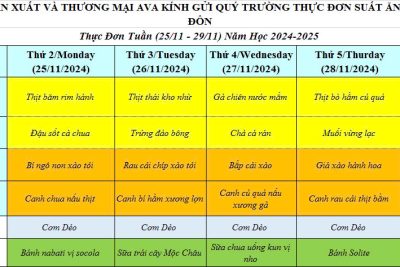 THỰC ĐƠN TUẦN 4 THÁNG 11 NĂM 2024